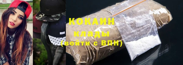 гашик Михайлов