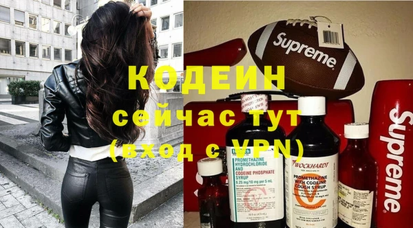 гашик Михайлов