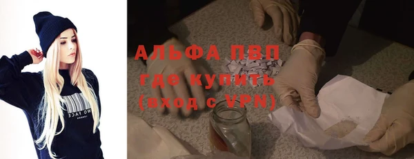 гашик Михайлов