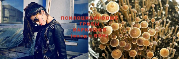 гашик Михайлов