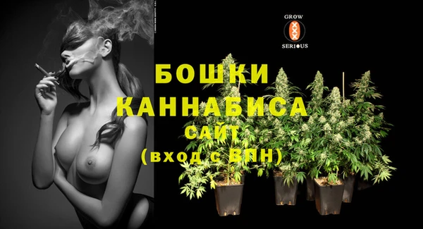 спиды Михайловск