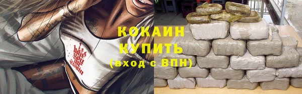 гашик Михайлов