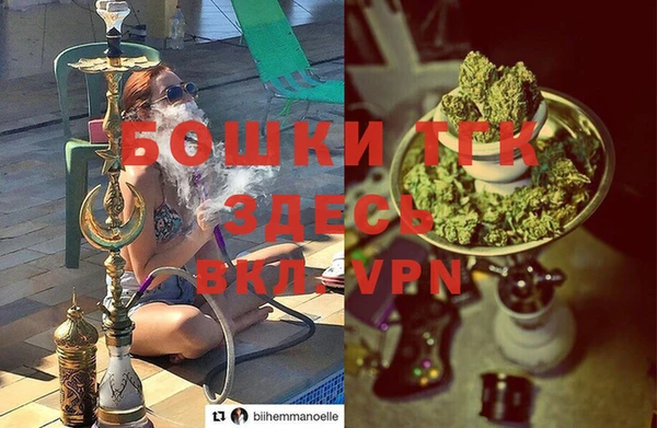гашик Михайлов